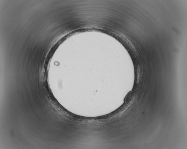 X0000112900876200910021432