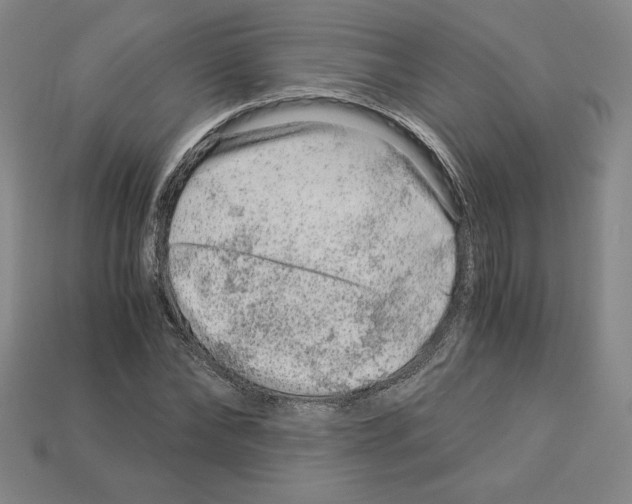 X0000112900878200910021432