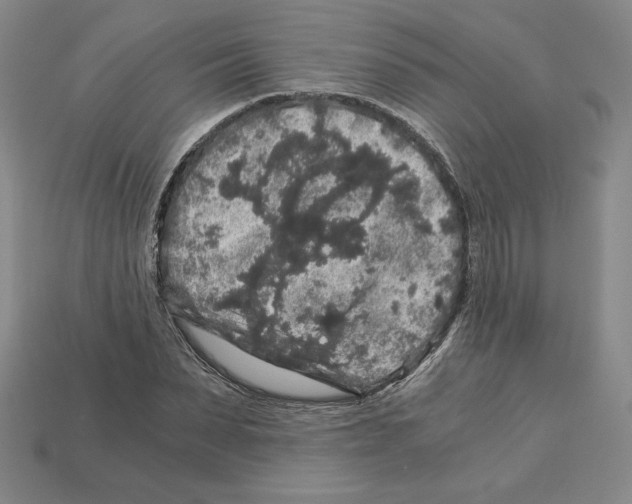 X0000112900879200910021432