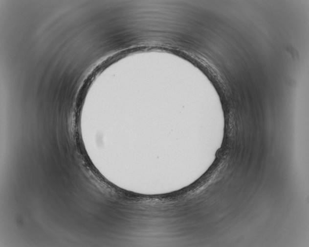 X0000112900880200910021432