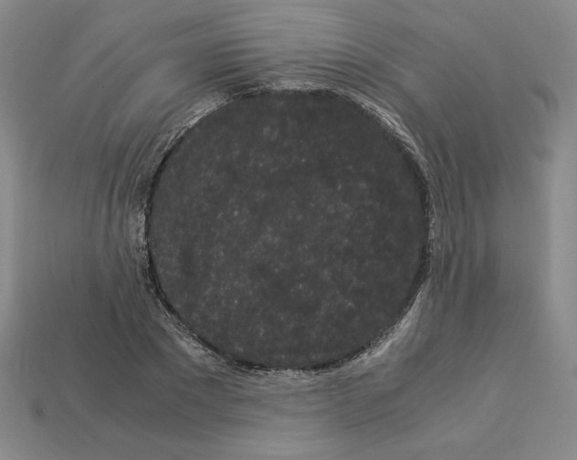 X0000112900881200910021432