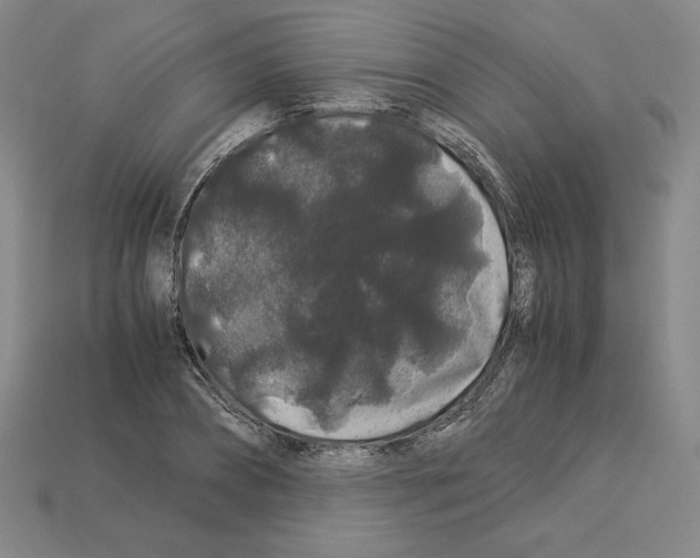 X0000112900882200910021432