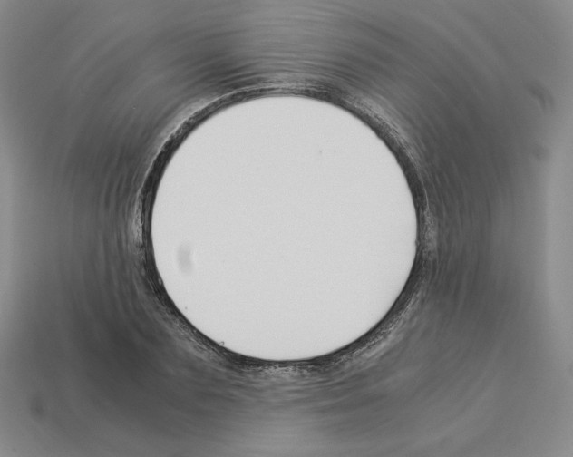 X0000112900883200910021432