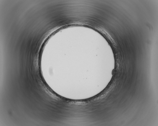 X0000112900884200910021432