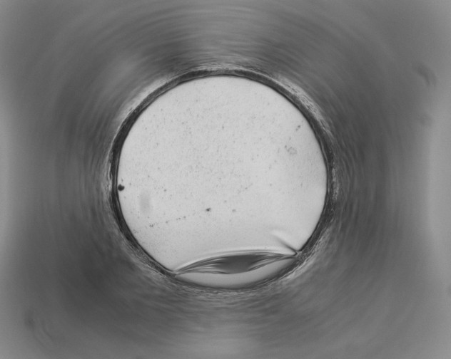 X0000112900885200910021432