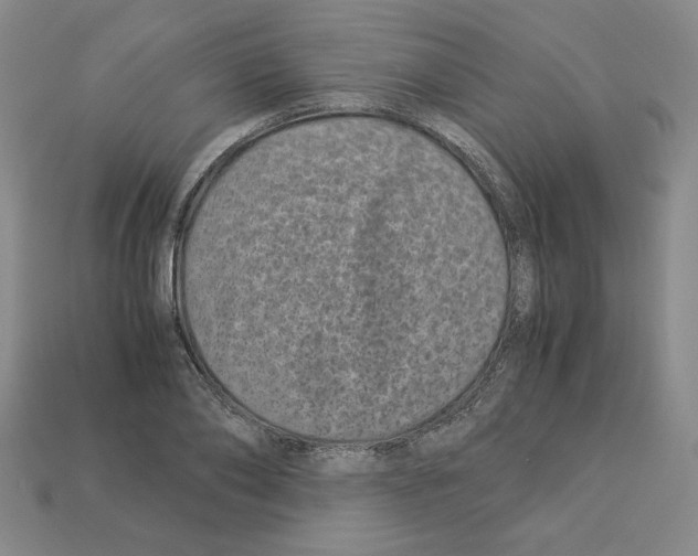 X0000112900886200910021432