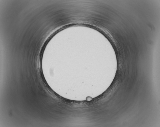 X0000112900887200910021432