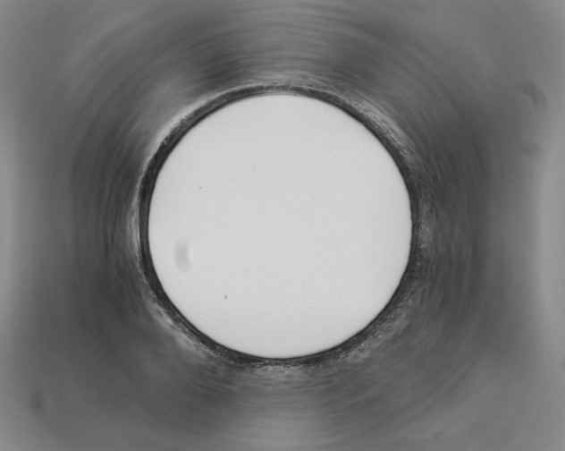 X0000112900888200910021432