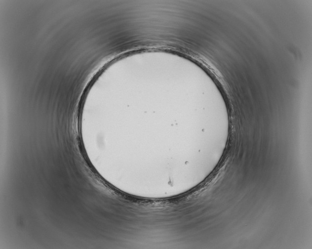 X0000112900891200910021432