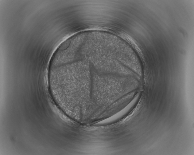 X0000112900892200910021432