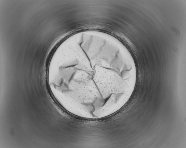 X0000112900894200910021432
