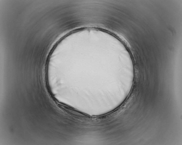X0000112900895200910021432