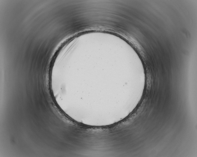 X0000112900896200910021432