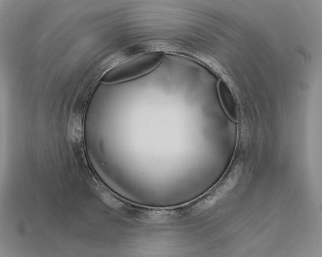 X0000112900897200910021432