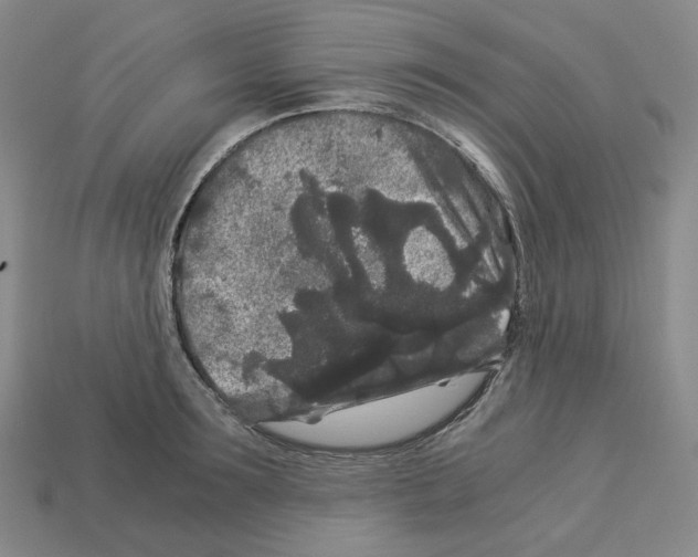 X0000112900899200910021432