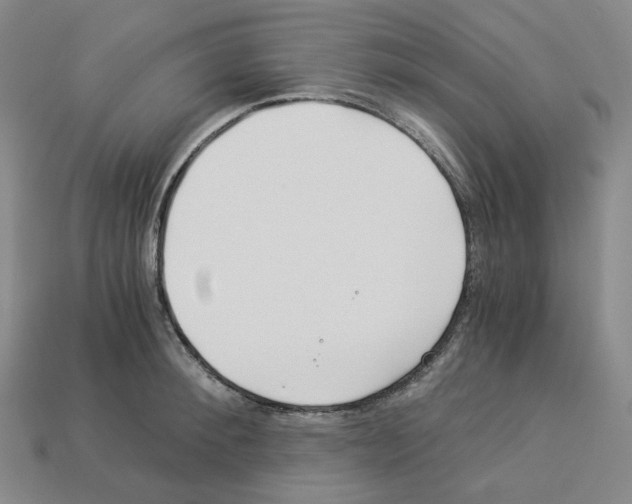 X0000112900900200910021432