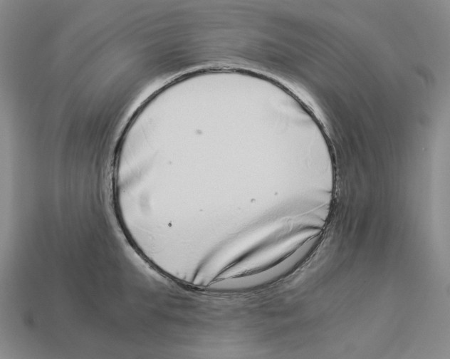 X0000112900903200910021432