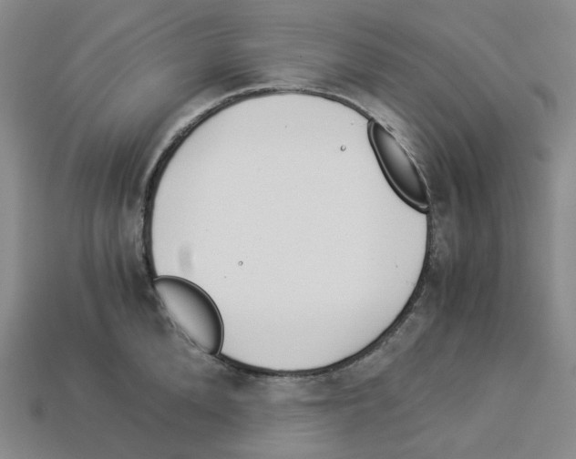 X0000112900904200910021432