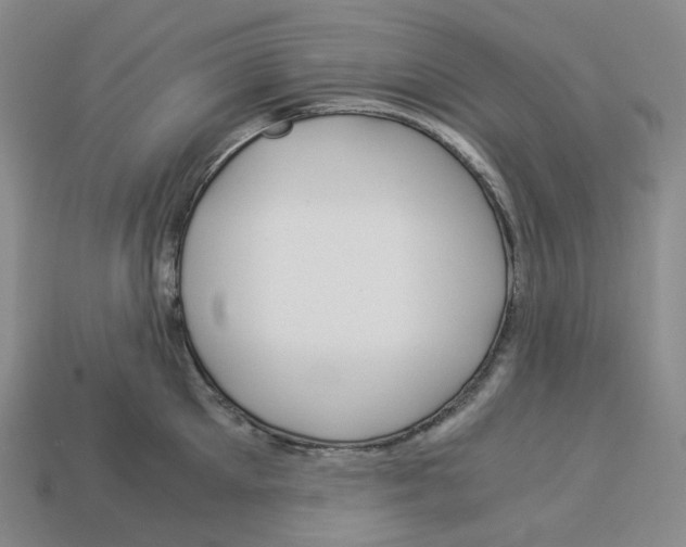 X0000112900905200910021432