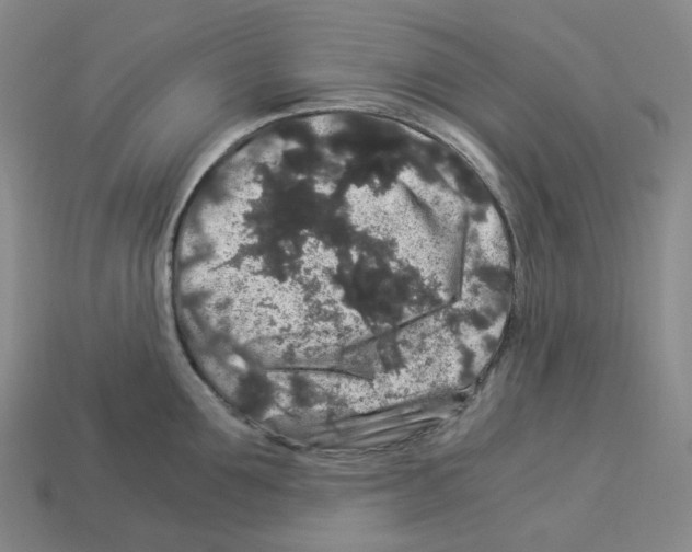 X0000112900907200910021432