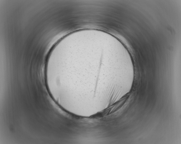 X0000112900910200910021432
