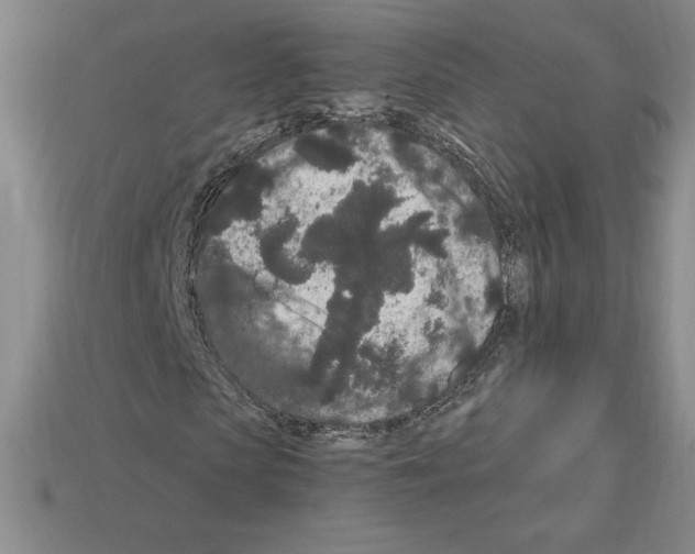 X0000112900913200910021431