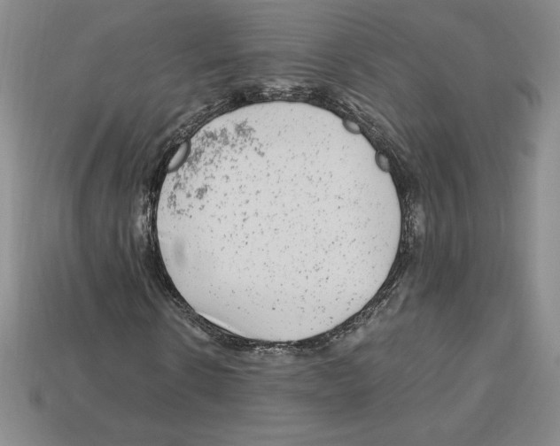 X0000112900914200910021431