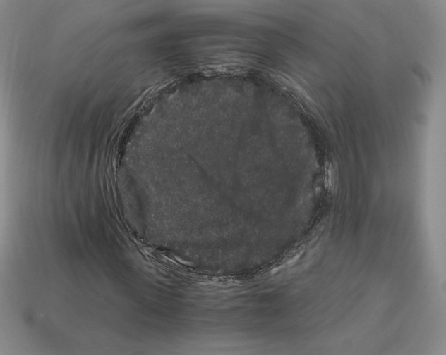 X0000112900915200910021431