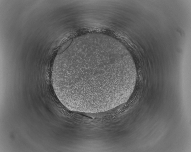 X0000112900916200910021431