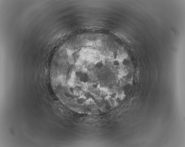 X0000112900917200910021431