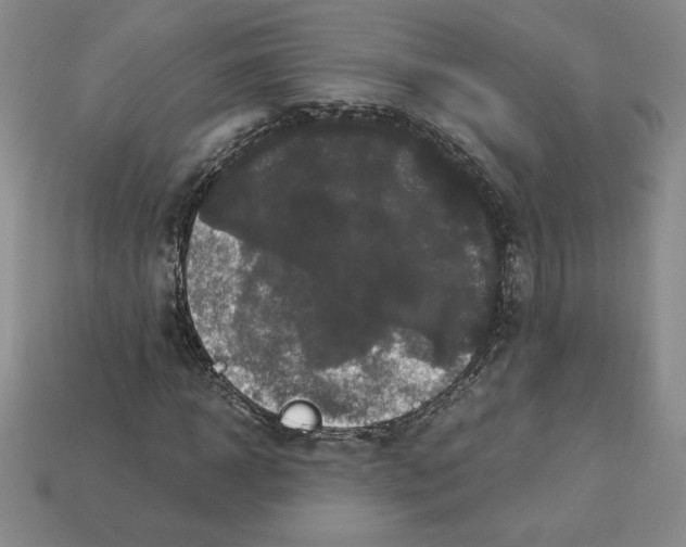 X0000112900918200910021431