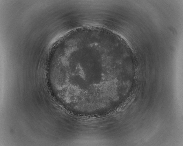 X0000112900919200910021431