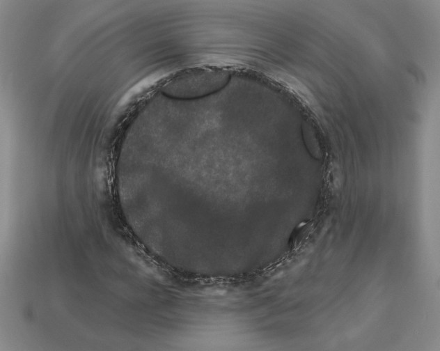 X0000112900920200910021431