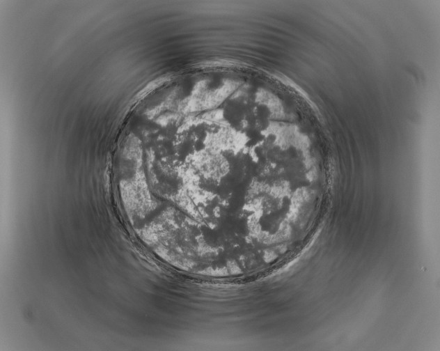 X0000112900921200910021431