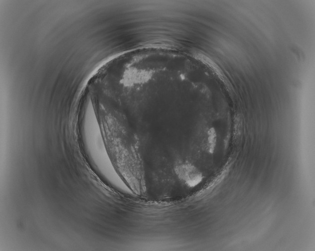 X0000112900923200910021431