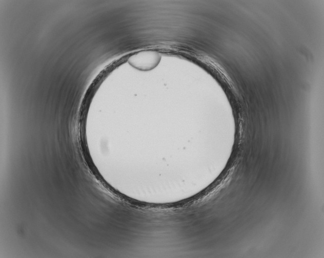 X0000112900924200910021431