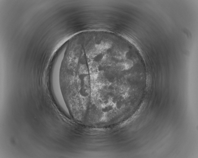X0000112900925200910021431
