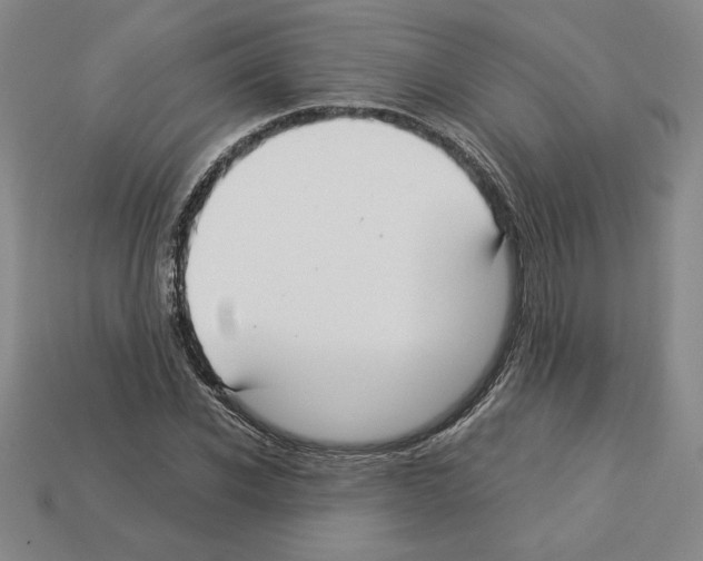 X0000112900926200910021431