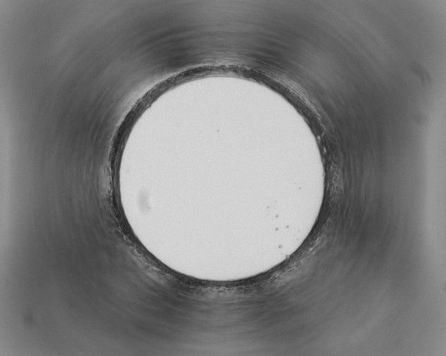 X0000112900927200910021431
