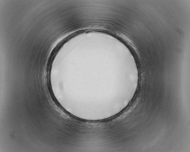 X0000112900928200910021431
