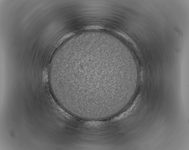 X0000112900929200910021431