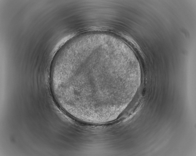 X0000112900930200910021431
