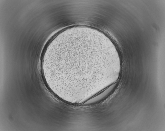 X0000112900932200910021431