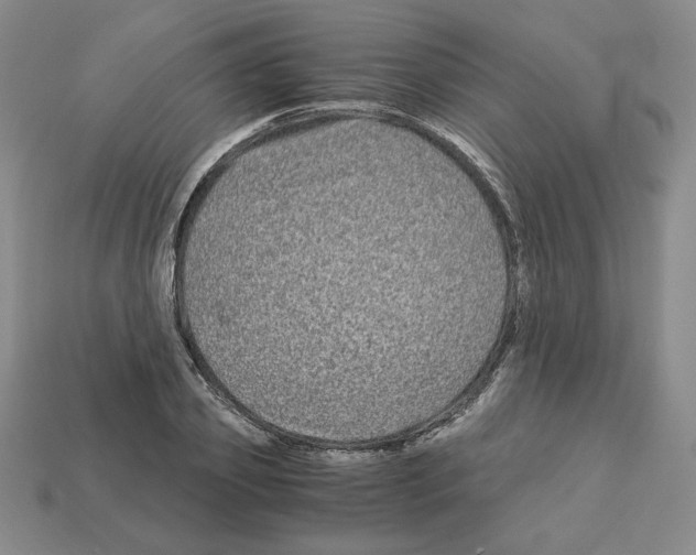 X0000112900933200910021431