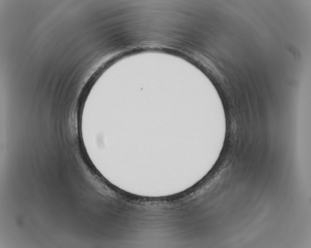 X0000112900934200910021431