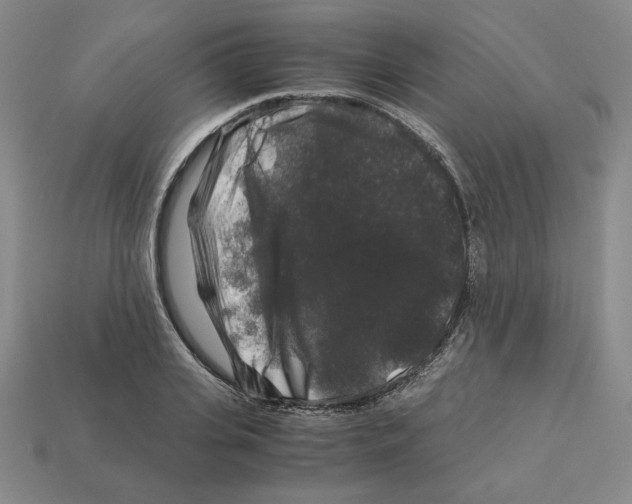 X0000112900935200910021431