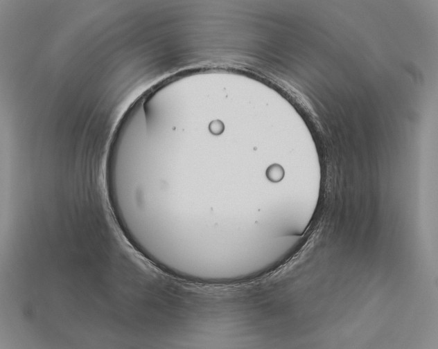 X0000112900936200910021431