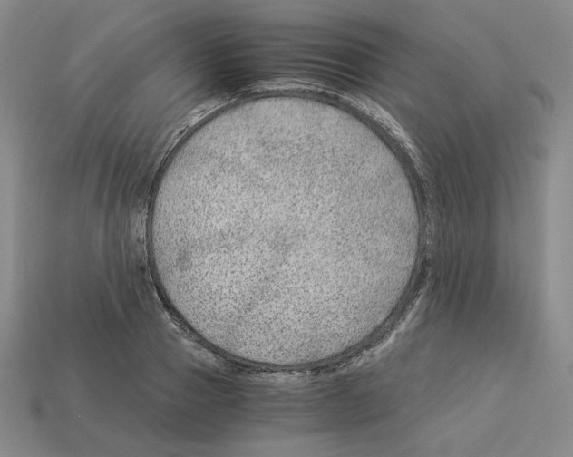 X0000112900937200910021431