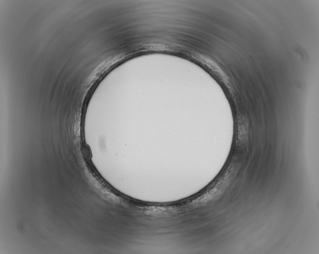 X0000112900938200910021431
