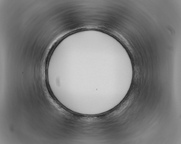 X0000112900939200910021431